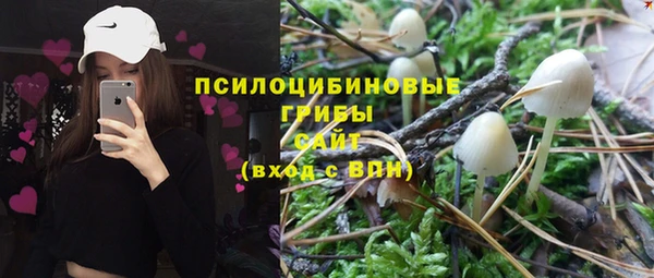 прущий лед Аркадак