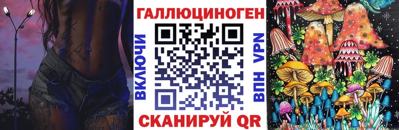 купить наркотик  Красный Холм  Галлюциногенные грибы Cubensis 