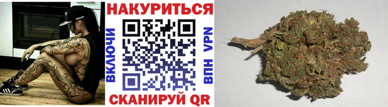 Канабис OG Kush  как найти закладки  Красный Холм 